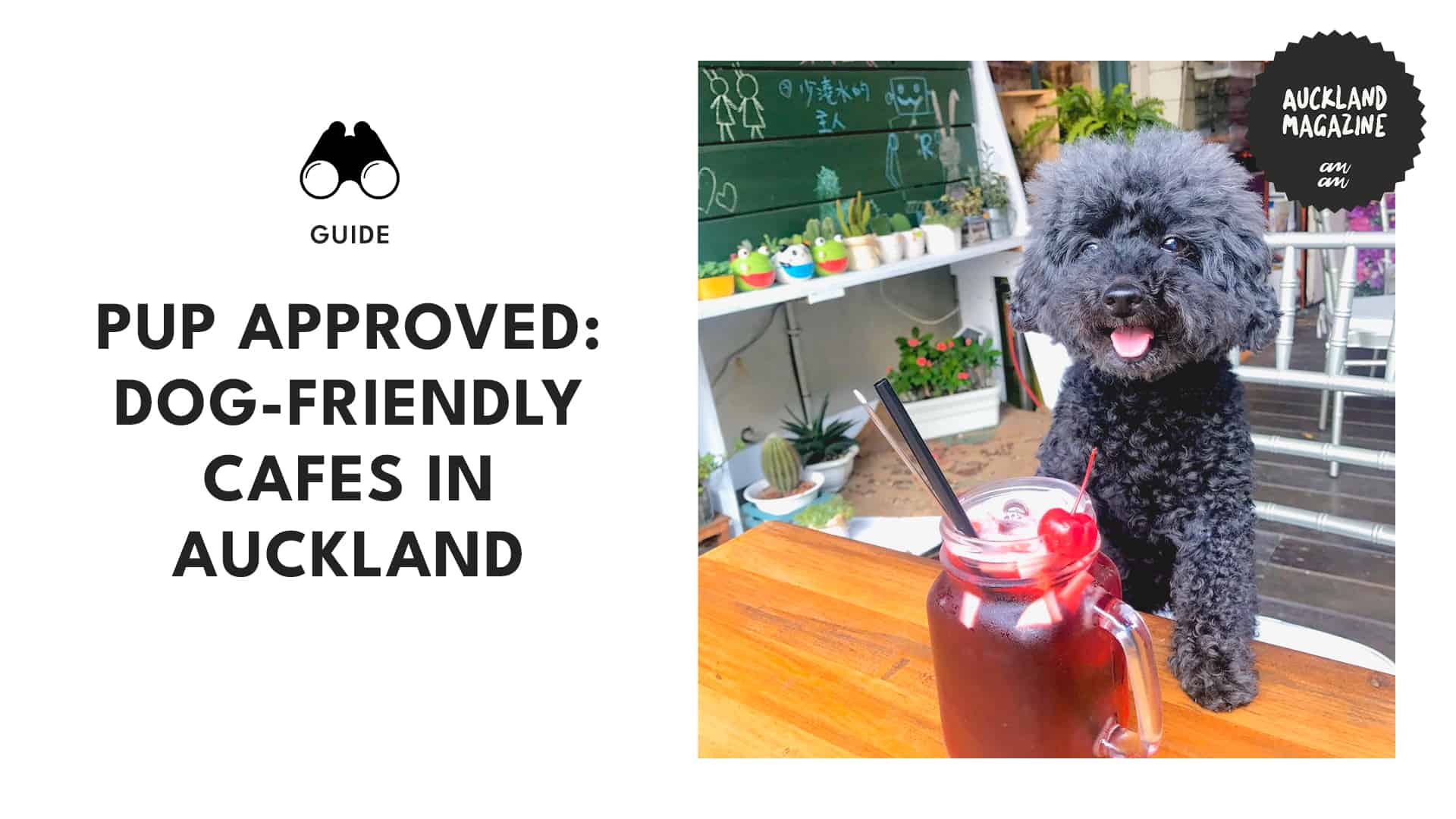 10 Best Dog-Friendly Cafes in Auckland to Take Your Pup