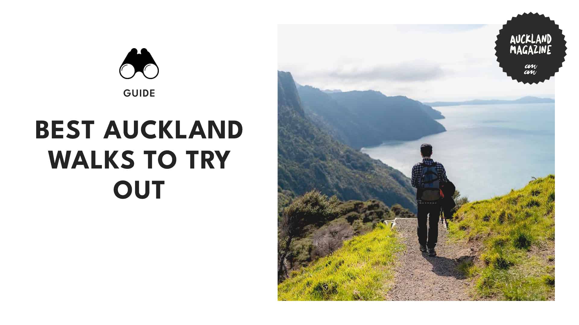 12 Best Auckland Walks to Try Out