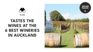 The Grape Escape 6 Wineries to Check Out in Auckland