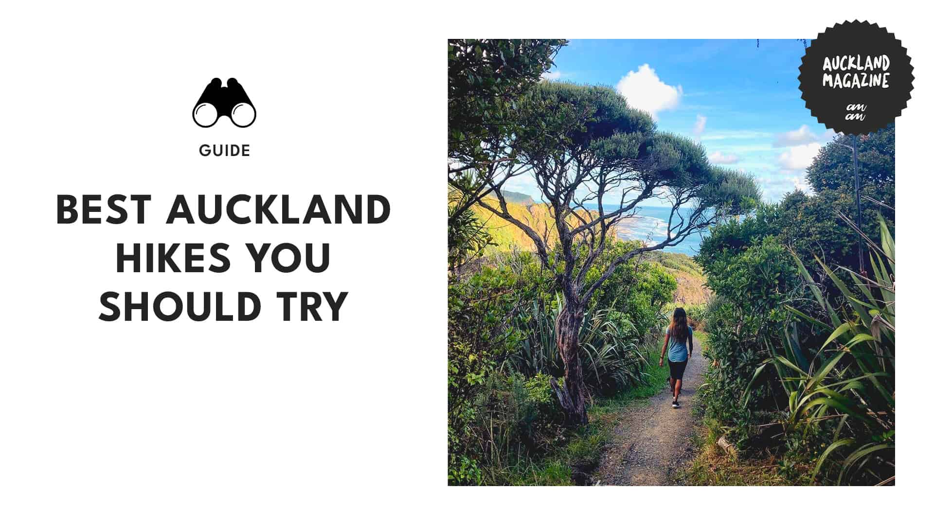 14 Must-Try Hikes Near Auckland for Every Adventure Level