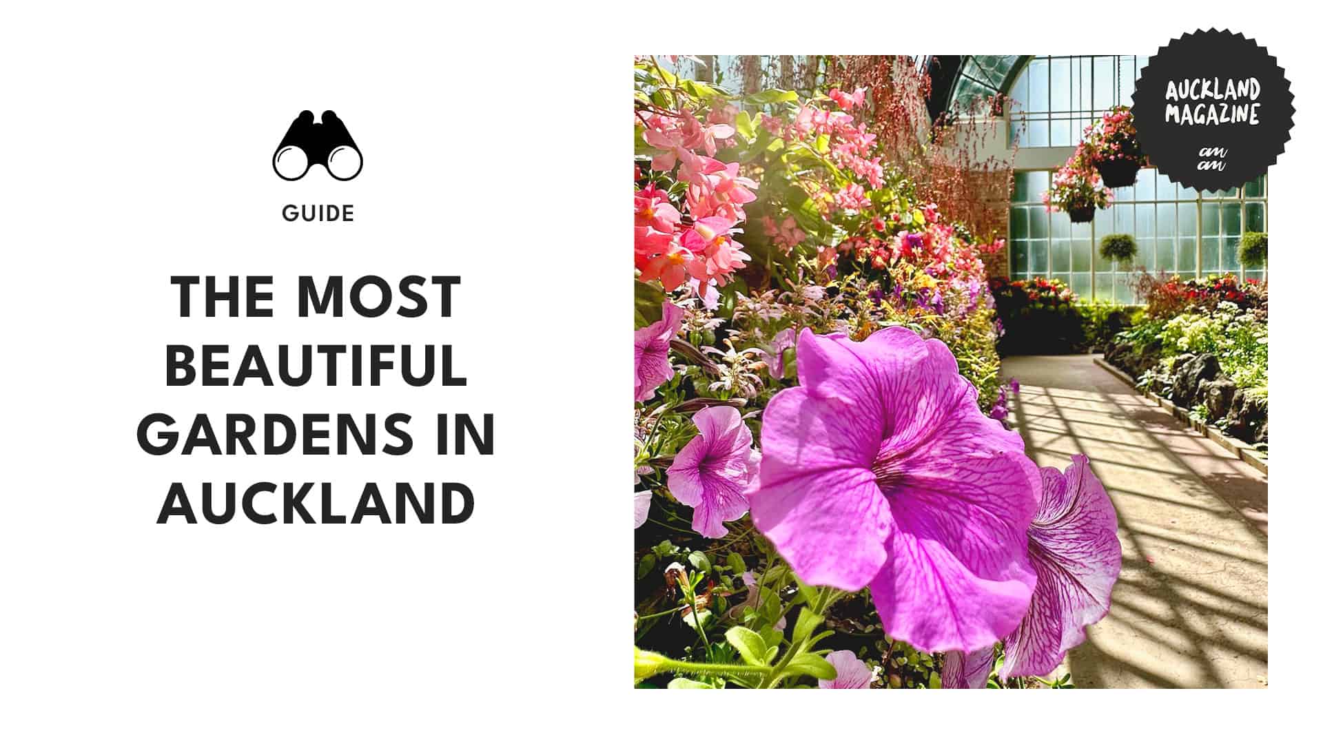 Frolicking through Auckland’s Best Gardens