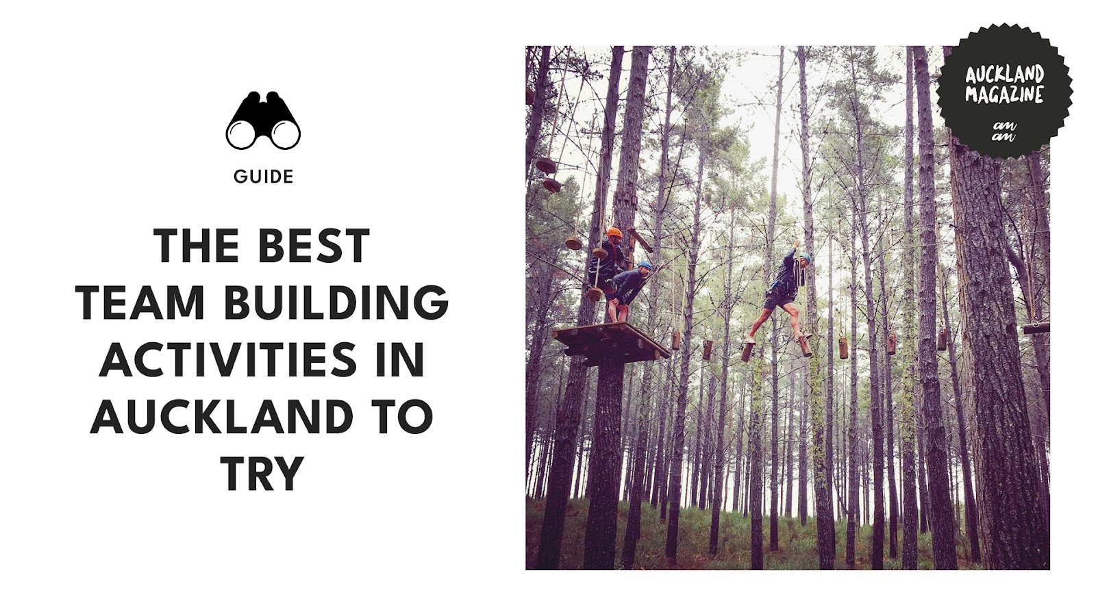 What are the best team-building activities to try in Auckland