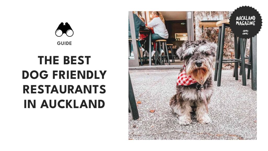 Woof down these eats: What are the best dog-friendly restaurants in Auckland?