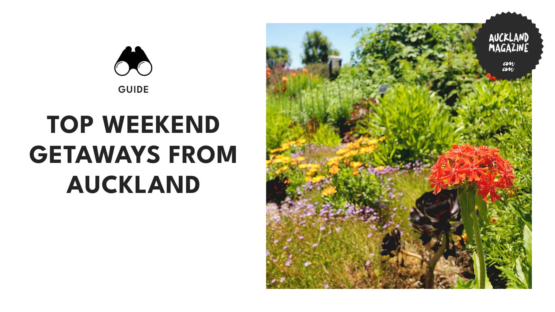 Green Getaway A Complete Guide to Auckland Botanic Gardens