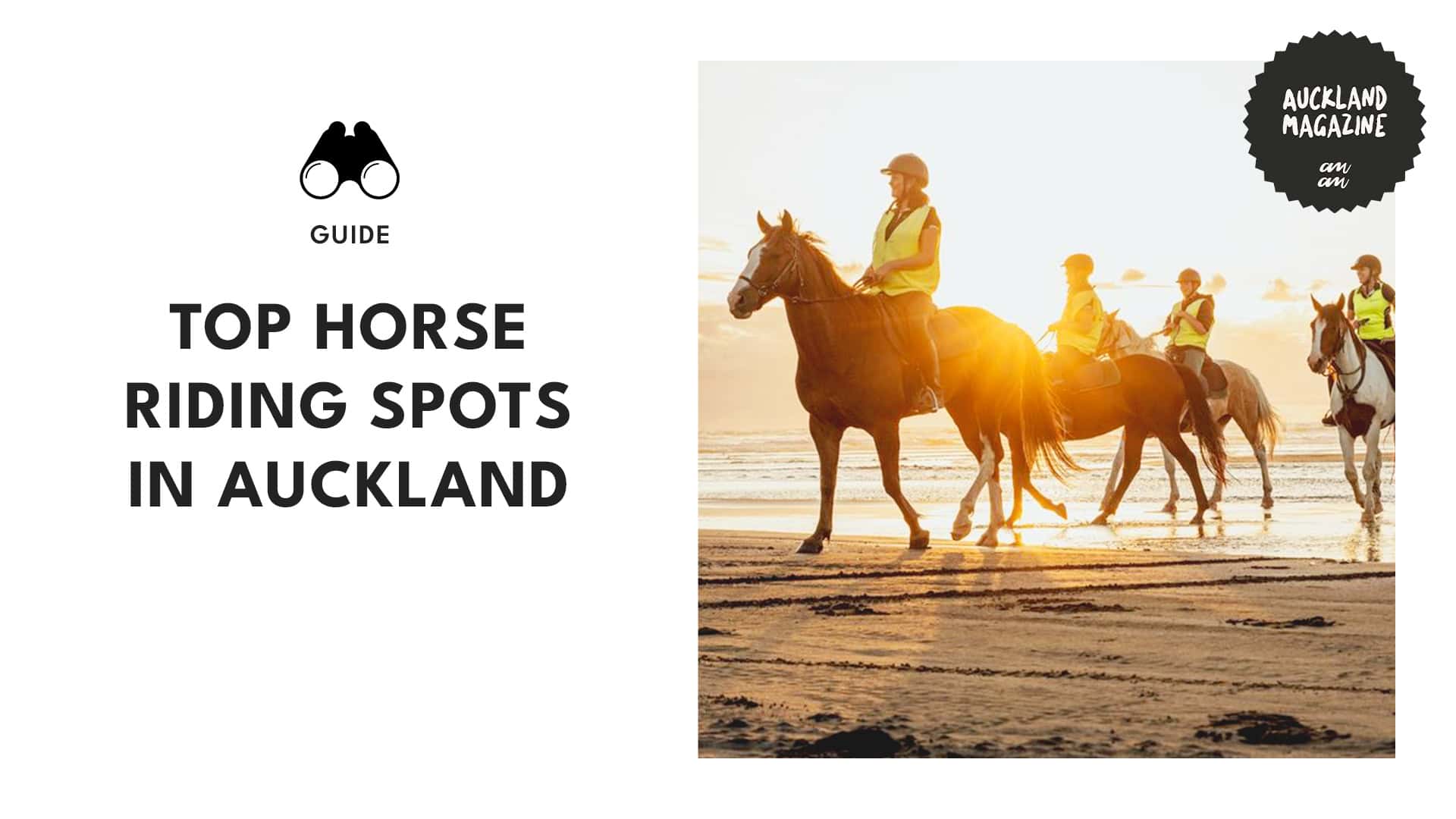 Hoofin’ It in AKL Top Horse Riding Spots in Auckland