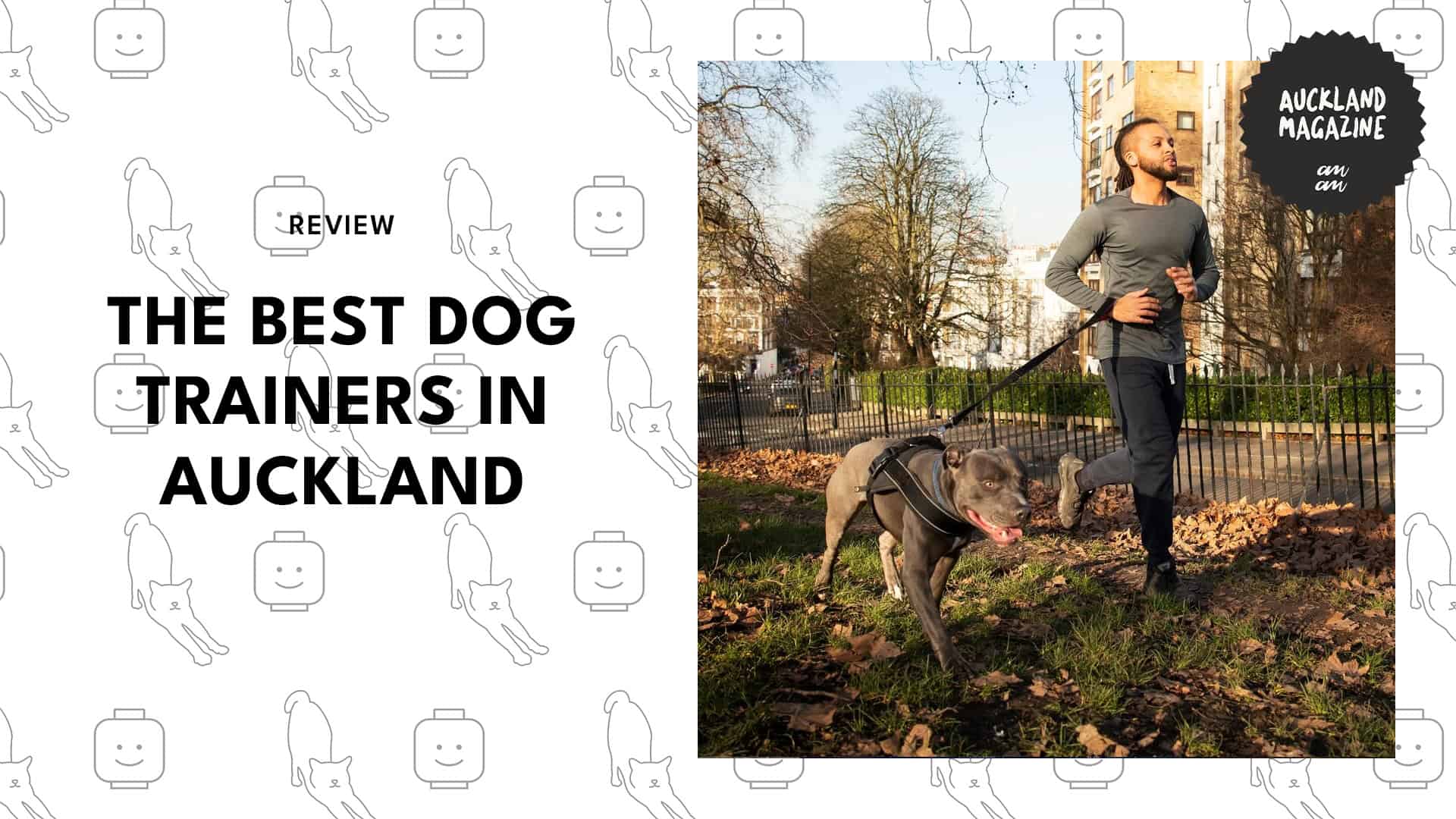 dog-trainers-auckland