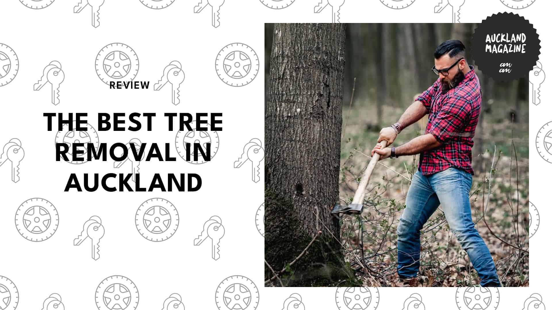 tree-removal-in-auckland
