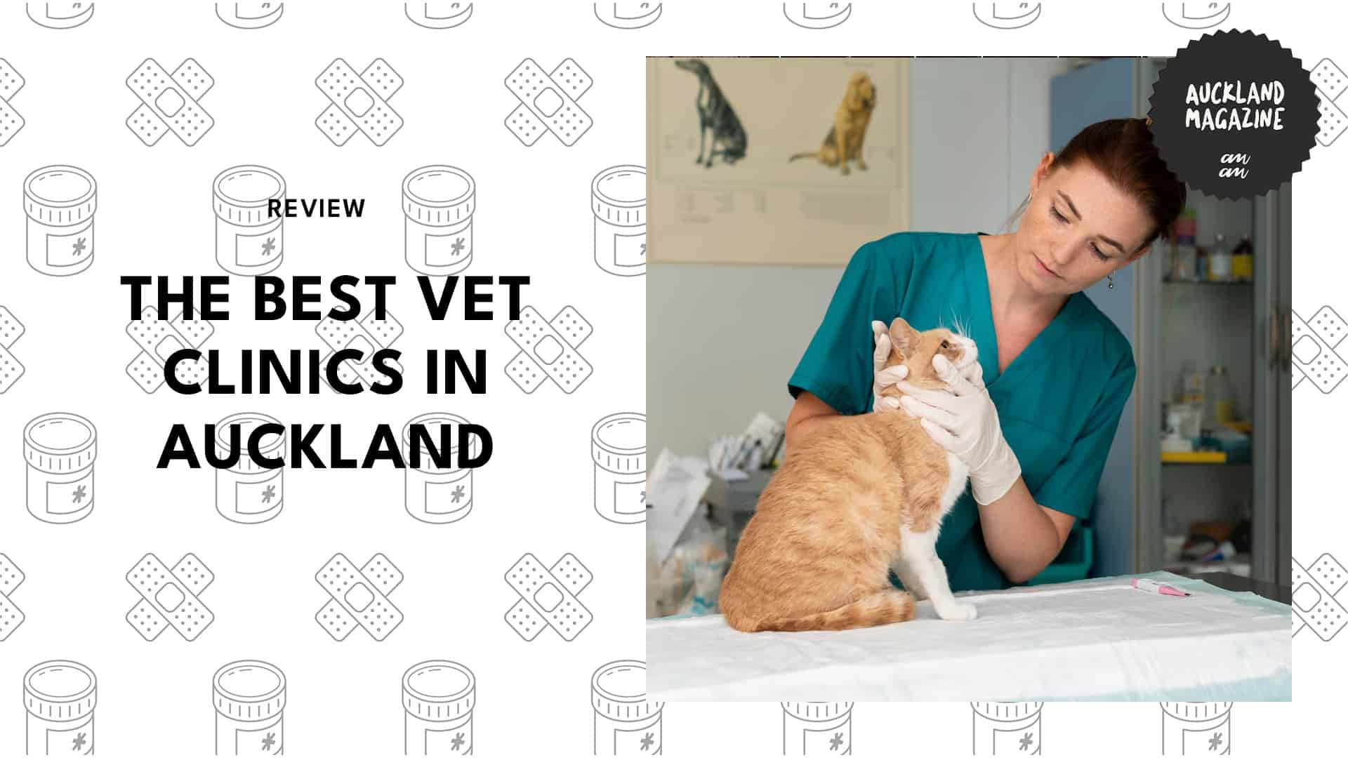 vet-clinics-in-auckland