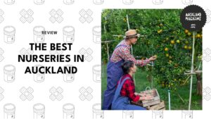 nurseries-in-auckland