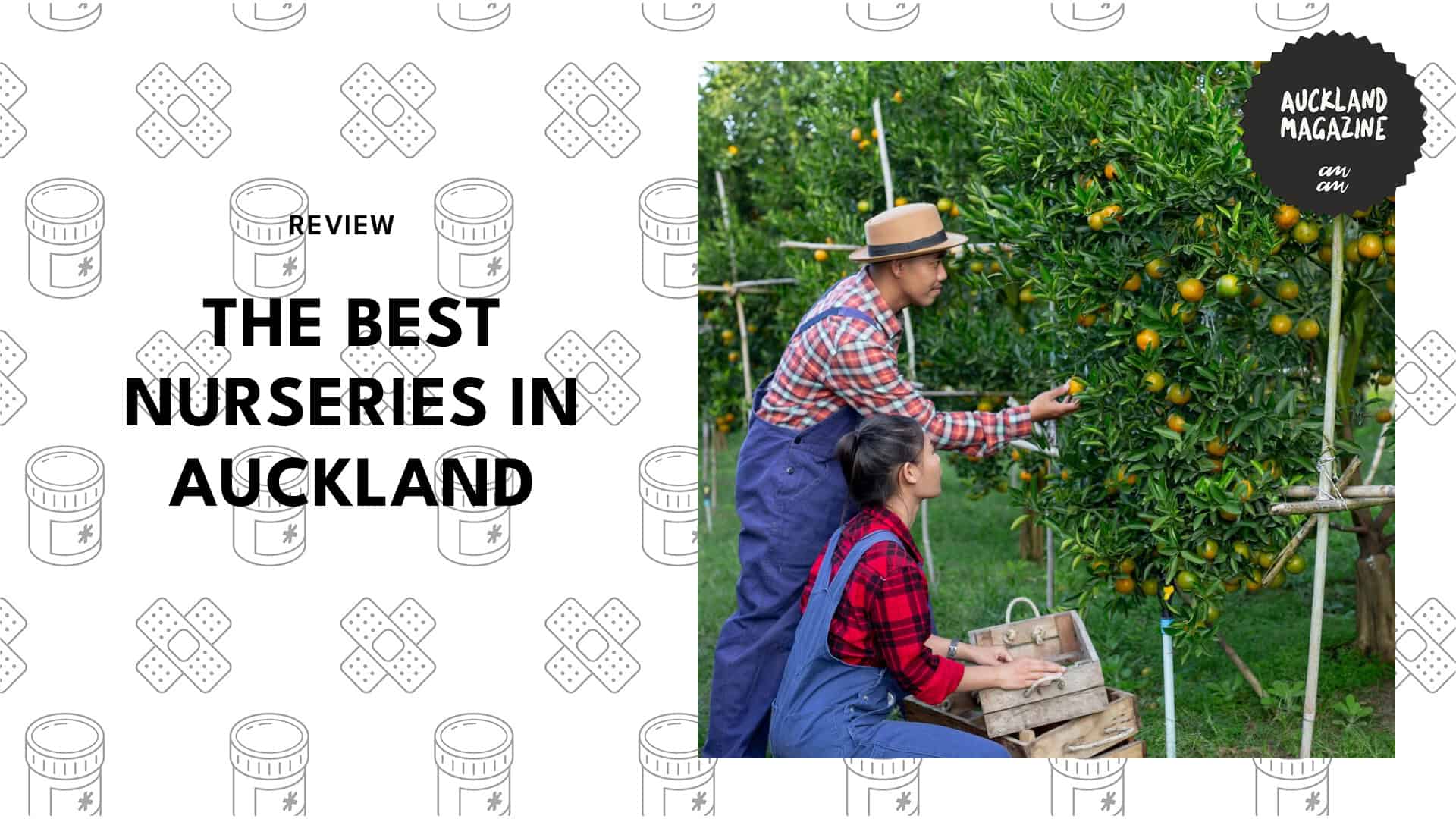nurseries-in-auckland