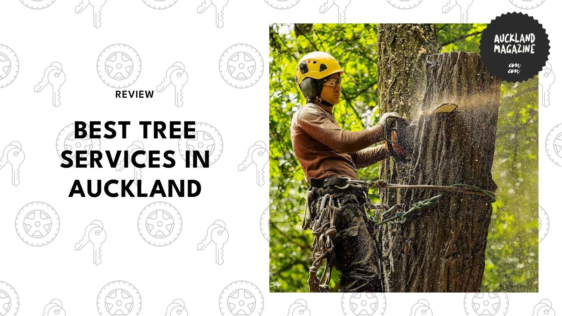 best-tree-services-in-auckland