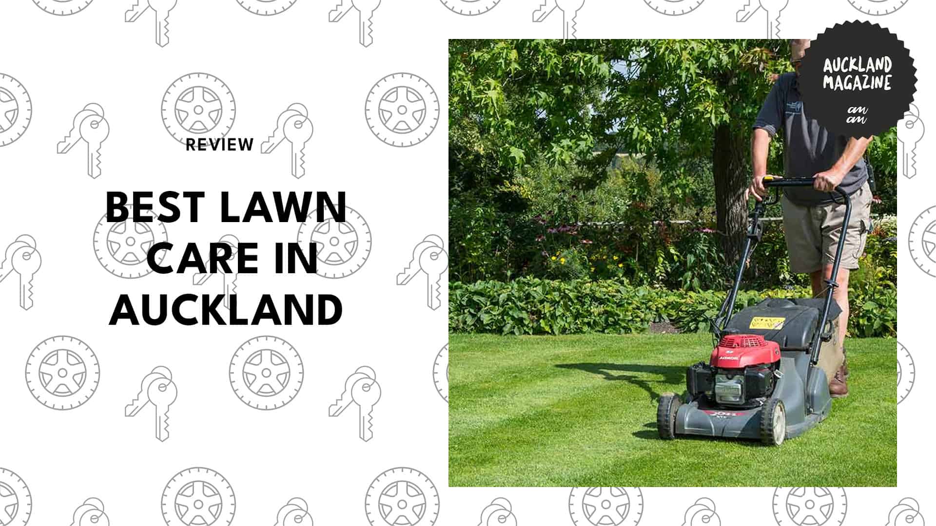 lawn-care-in-auckland