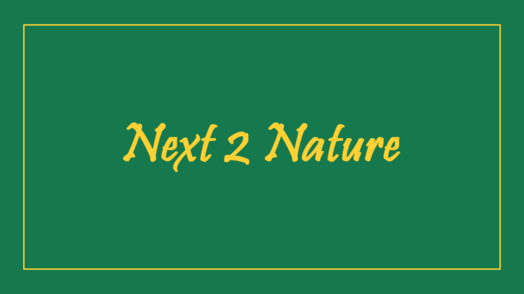 next-2-nature-tree-services-auckland