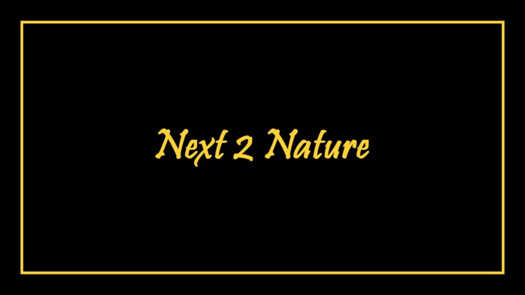 arborist-north-shore-auckland
