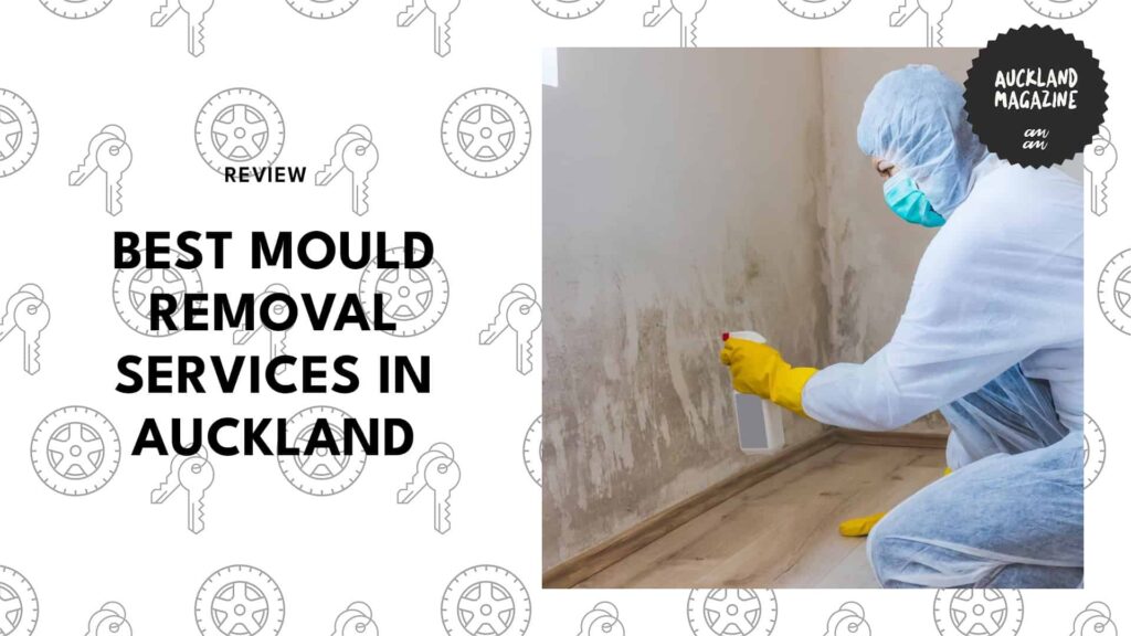 The 5 Best Experts for Mould Removal in Auckland to Restore Your Home