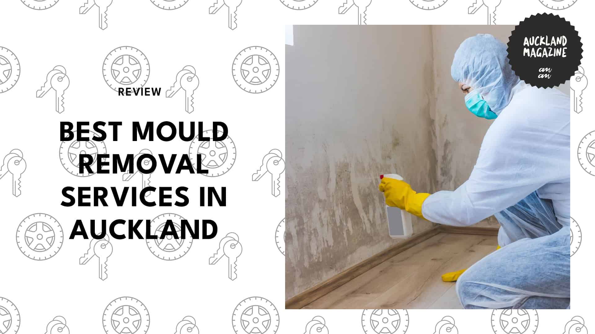 experts-for-mould-removal-in-auckland