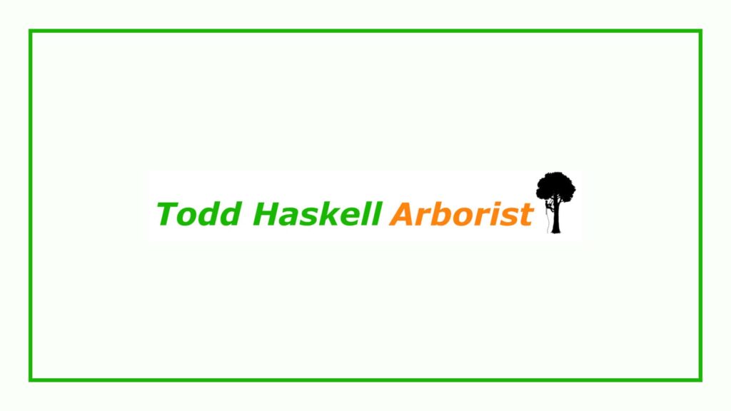 todd-haskell-arborist