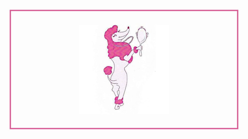 boutique-dog-grooming
