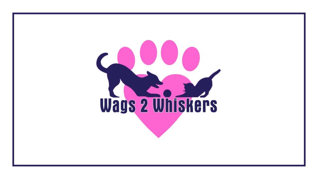 wags-2-whiskers