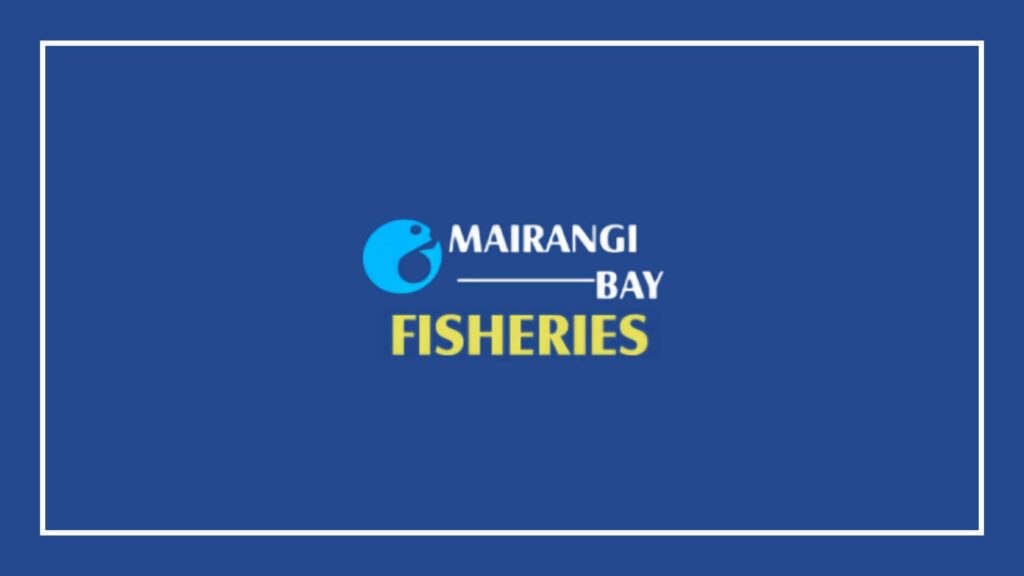 mairangi-bay-fisheries