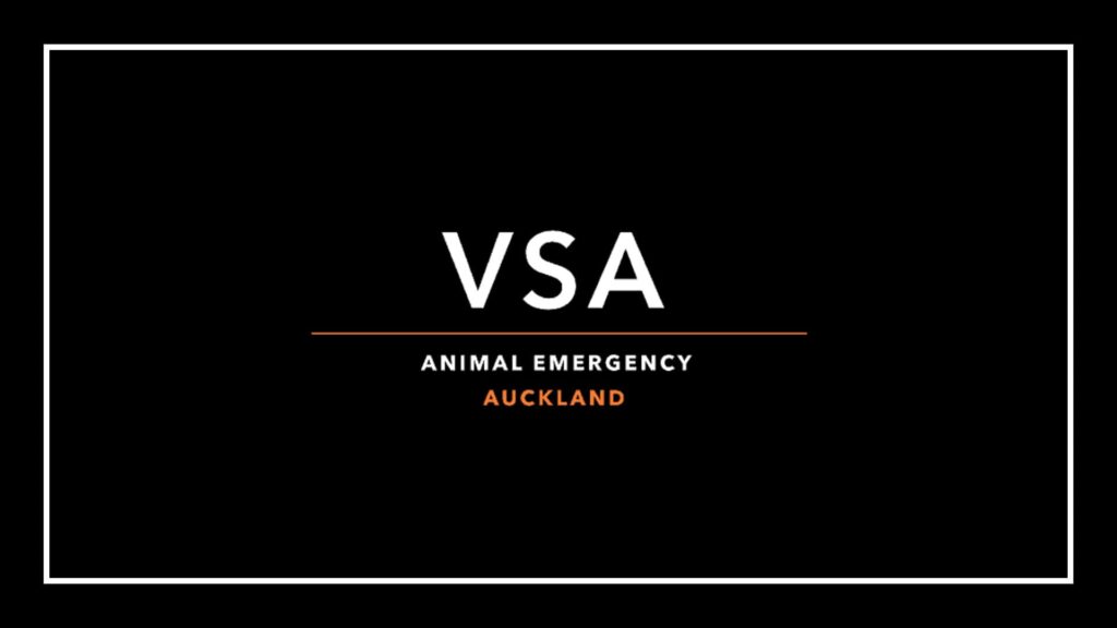 animal-emergency-at-vsa