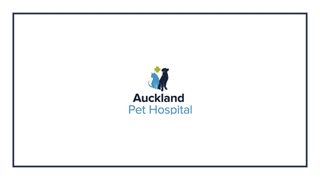 auckland-pet-hospital