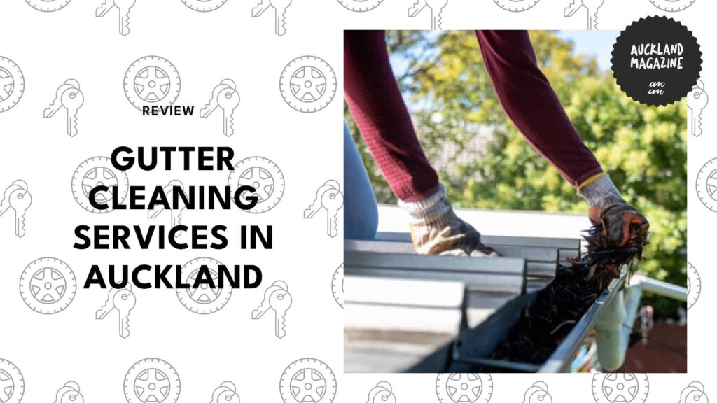 6 Best Gutter Cleaning Services in Auckland (Costs & Service Guide)