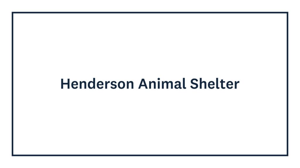 henderson-animal-shelter-auckland-council