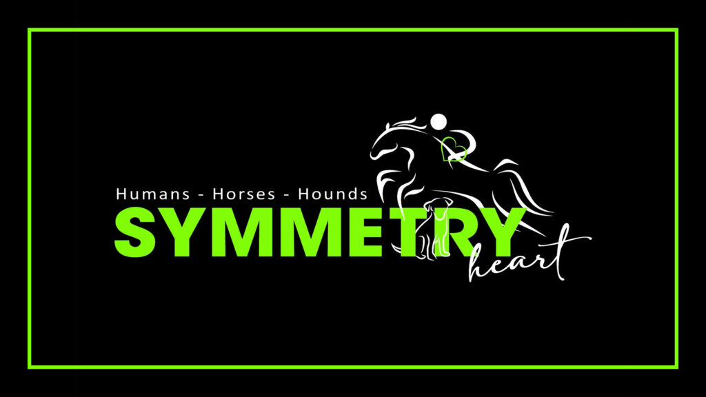 symmetry-in-motion-logo