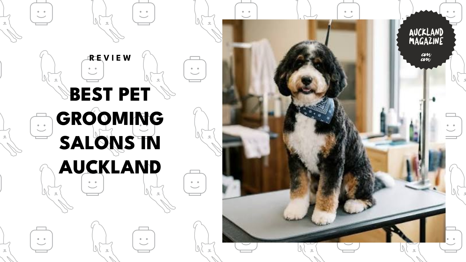 best-pet-grooming-auckland-banner
