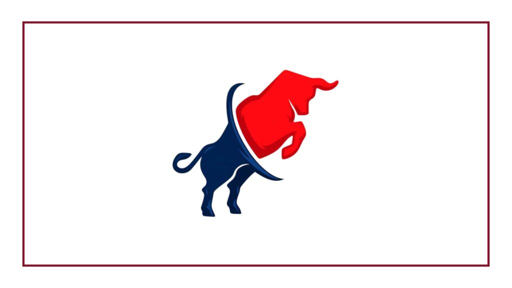 big-bull-movers-auckland-new-zealand-experts