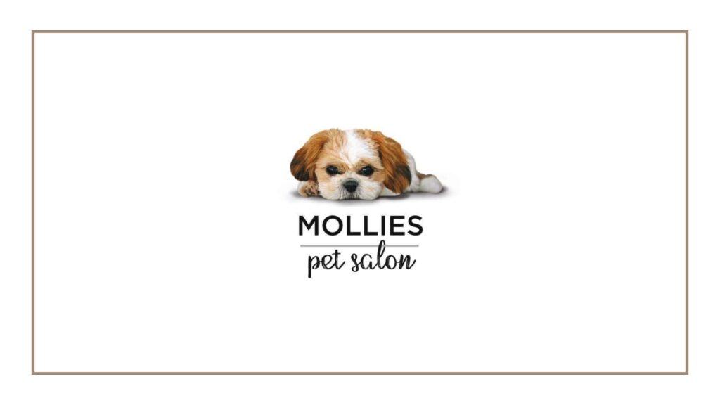 mollies-pet-salon