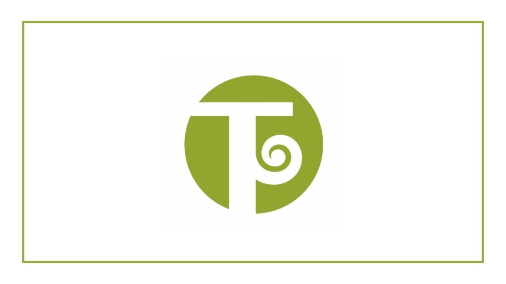 nz-international-tax-property-advisors-logo